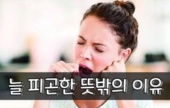 [좋은글] ◇ 늘 피곤한 뜻밖의 이유