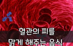[좋은글] 혈관의 피를 맑게 해주는 음식