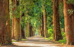 [좋은글] 적당한 거리의 법칙