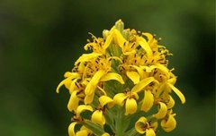 [좋은글] 【갯취】