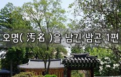 [좋은글]  오명汚名을 남긴 남곤 1편