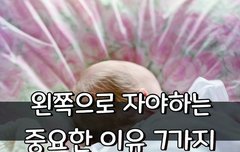 [좋은글] 왼쪽으로 자야하는 중요한 이유 7가지