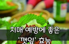 [좋은글] 치매 예방에 좋은 '깻잎' 효능