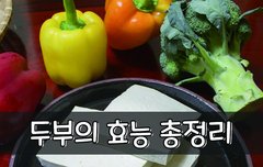 [좋은글] 두부의 효능 총정리