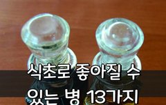 [좋은글] 식초로 좋아질 수 있는 병 13가지