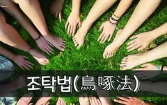 [좋은글] ◇ 조탁법鳥啄法