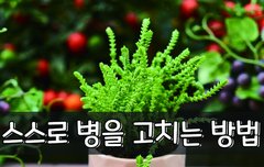 [좋은글] 스스로 병을 고치는 방법