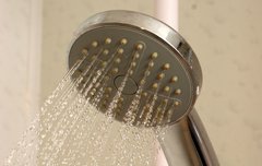 [좋은글] 샤워 스펀지 사용이 건강에 끼치는 영향