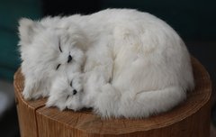 [좋은글] 젊음 유지하며 장수하는 16가지 비결