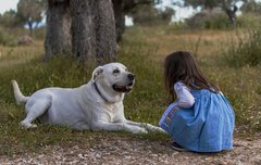 [좋은글] 슬기롭게 화내는 방법 12가지