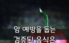 [좋은글] 암 예방을 돕는 검증된 음식은?