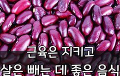 [좋은글] 근육은 지키고 살은 빼는 데 좋은 음식