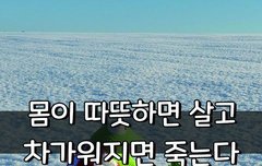[좋은글] ◇ 몸이 따뜻하면 살고 차가워지면 죽는다