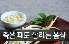 [좋은글] 죽은 폐도 살리는 음식