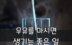 [좋은글] 우유 마시면 생기는 좋은 일