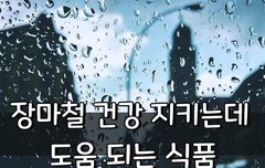 [좋은글] 장마철 건강 지키는데 도움 되는 식품