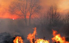 [좋은글] 포신구화抱薪救火 - 섶을 안고 불을 끄다, 재난을 구하려다 더 큰 화를 부르다.