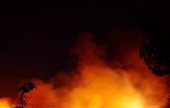 [좋은글] 요원지화燎原之火 - 언덕에 번지는 불