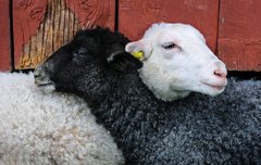 [좋은글] 술 마시며 맺은 친구는