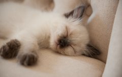 [좋은글] 알몸으로 자면 좋은 5가지 이유