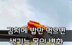 [좋은글] 김치에 밥만 먹으면 생기는 몸의 변화