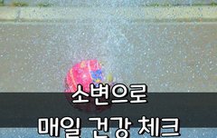 [좋은글] 소변으로 매일 건강 체크