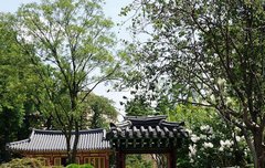 [좋은글] 야불폐호夜不閉戶 - 밤에도 대문을 닫지 않는다, 살기 좋은 태평 시절