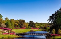 [좋은글] 명경지수明鏡止水 – 맑은 거울과 고요한 물, 맑고 깨끗한 마음