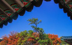 [좋은글] 오릉중자於陵仲子 - 오릉에 살던 진중자의 결백, 지나친 청렴은 인륜을 벗어난다는 교훈