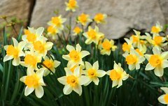 [좋은글] 내가 서 있는 자리는