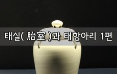 [좋은글]  태실胎室과 태항아리 1편