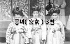 [좋은글]  궁녀宮女 3편