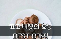 [좋은글] 표고 버섯의 효능 BEST 8가지