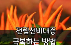 [좋은글] ◇ 전립선비대증 똑똑하게 극복하는 방법