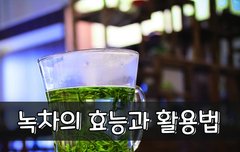 [좋은글] 녹차의 효능과 활용법