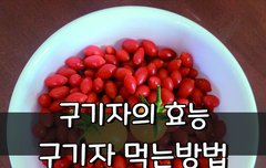 [좋은글] ✅ 간의 지방배출을 돕는 구기자!!