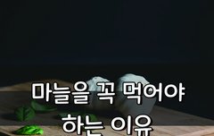 [좋은글] ◇ 마늘을 꼭 먹어야 하는 이유