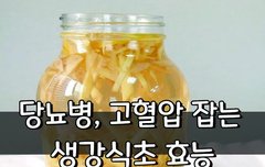 [좋은글] ◇ 당뇨병, 고혈압 잡는 생강식초 효능