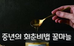 [좋은글] ◇ 중년의 회춘비법 꿀마늘