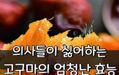 [좋은글] ◇ 의사들이 싫어하는 '고구마'의 엄청난 효능