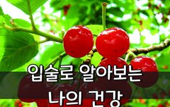 [좋은글] ◇ 입술로 알아보는 나의 건강