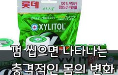 [좋은글] ◇ 껌 씹으면 나타나는 충격적인 몸의 변화
