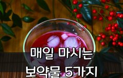 [좋은글] 매일 마시는 보약물 5가지