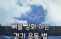 [좋은글] ◇ 뼈를 강화 하는 걷기 운동 법