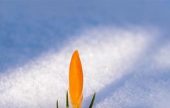 [좋은글] 두점방맹杜漸防萌 – 퍼지기 전에 막아 싹이 못나오게 하다, 미연에 방지하다.