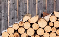 [좋은글] 설중송탄雪中送炭 - 추위 속에 땔감을 보내다.