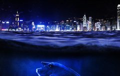 [좋은글] 탄주지어呑舟之魚 – 배를 삼킬 만환 물고기, 큰 인물의 비유