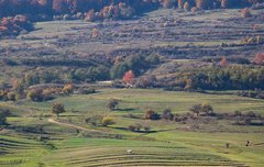 [좋은글] 양타삼척讓他三尺 - 석 자의 땅을 양보하다, 양보의 미덕