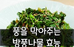 [좋은글] 풍을 막아주는 방풍나물 효능