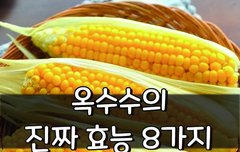[좋은글] 옥수수의 진짜 효능 8가지
